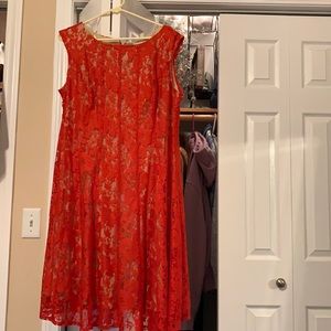 DressBarn Knee Length Lace Overlay Dress